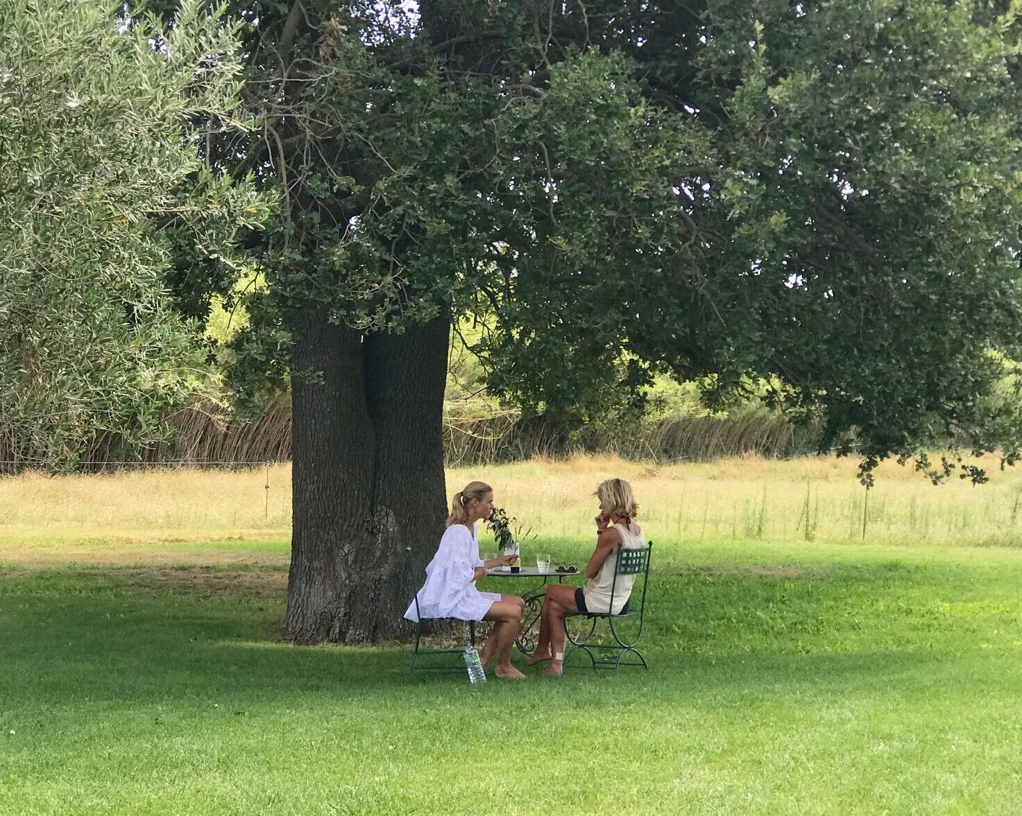 Flower Reading Imke den Hartog